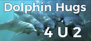Dolphins Hugs 4 U 2 with Cyndie Lepori
